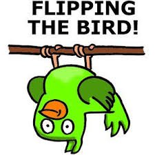 flipping the bird
