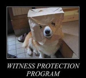 witness protection program